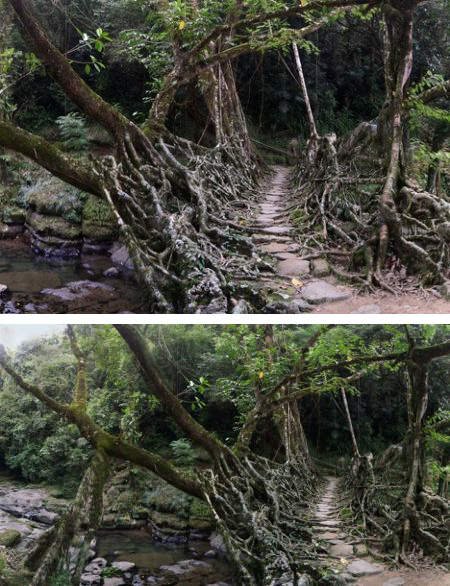 恐怖喔!!世界最可怕危險的橋樑