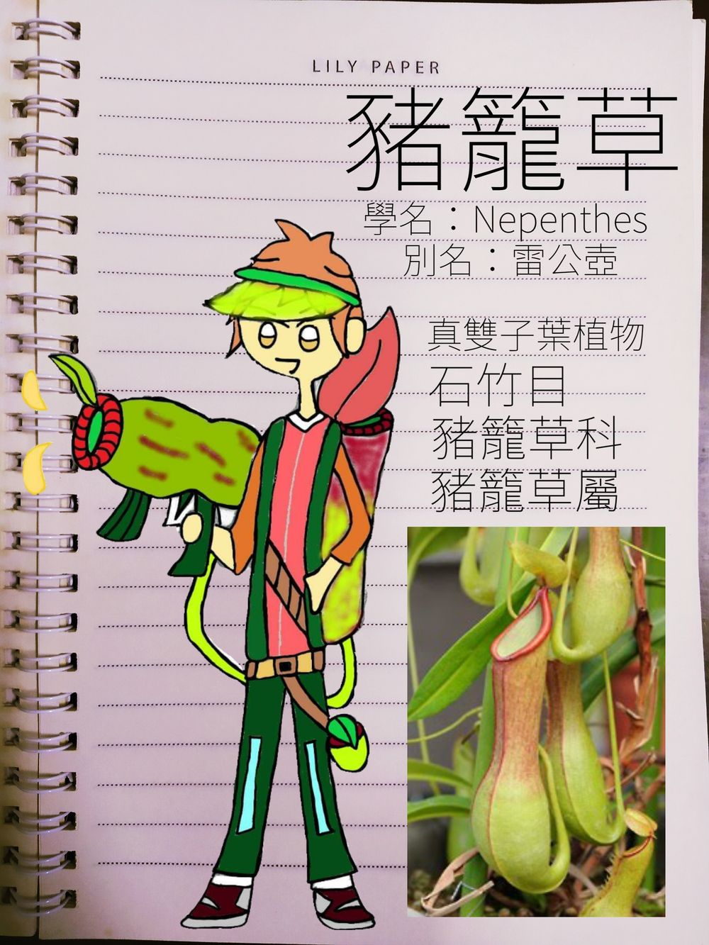 植物擬人化 豬籠草 Modernchou的創作 巴哈姆特