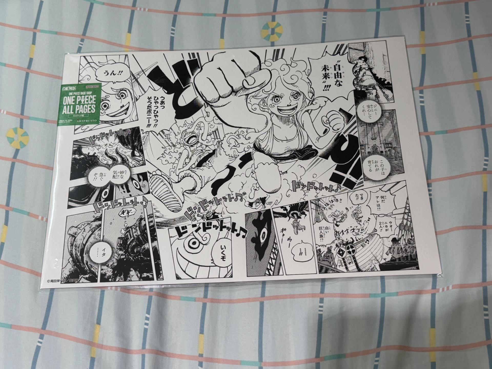 ONE PIECE ALL PAGES エッグヘッド編ボニーニカワンピースベース