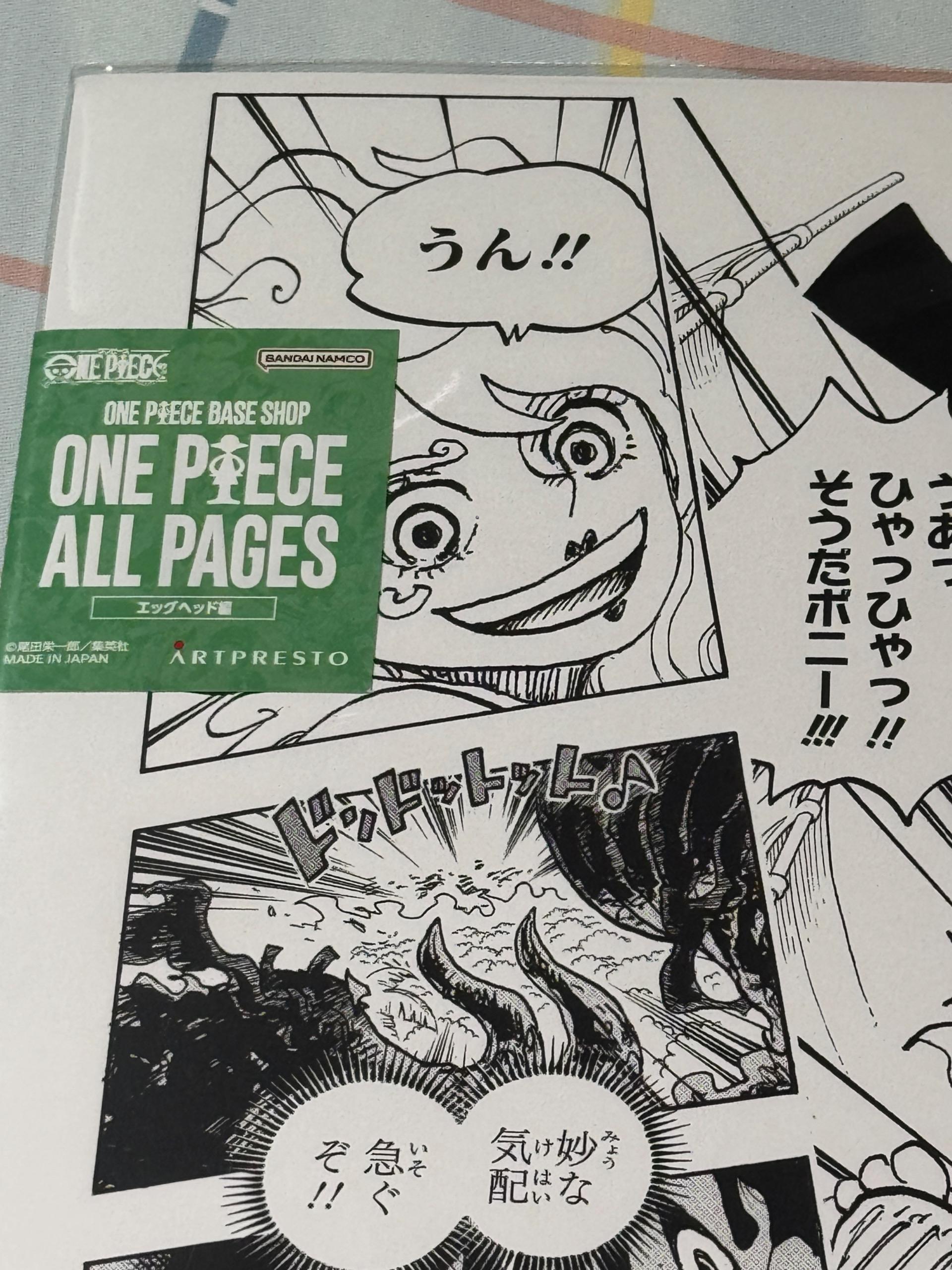 ONE PIECE ALL PAGES エッグヘッド編ボニーニカワンピースベース