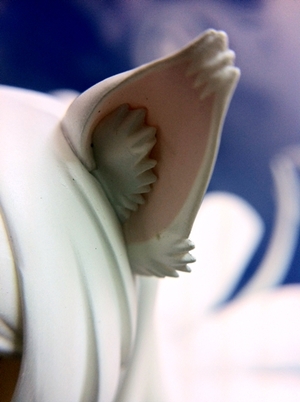 猫に魅せられた少女羽川翼ALTER 1/7 PVC Figure @西尾維新作品系列精華