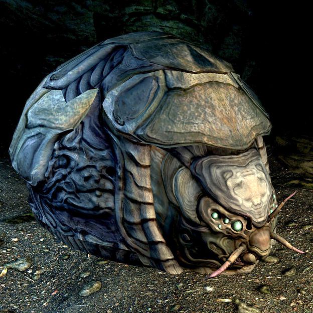 Chitin 現實&Skyrim - stu4564的創作 - 巴哈姆特