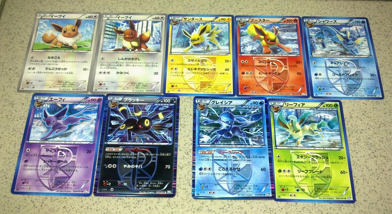 パラセンのリーフレット