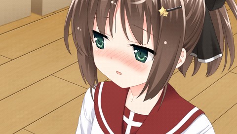 この部室は帰宅しない部が占拠しました。 ぽーたぶる 学園ドッグ・イヤー編 Amazon.co.jp: この部室は帰宅しない部が占拠しました。 ぽーた