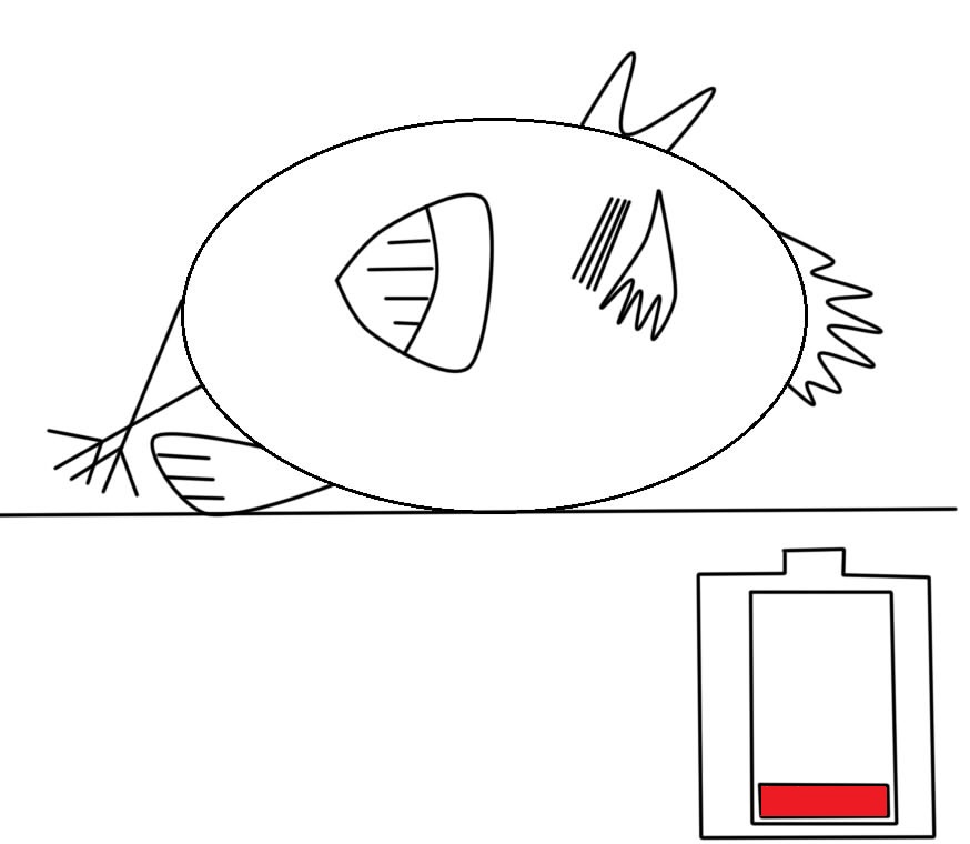 05/22 bayless要没电了