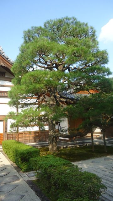 達人專欄 13關西之行 Day 3 京都 銀閣寺 金閣寺 祇園 Linus21的創作 巴哈姆特