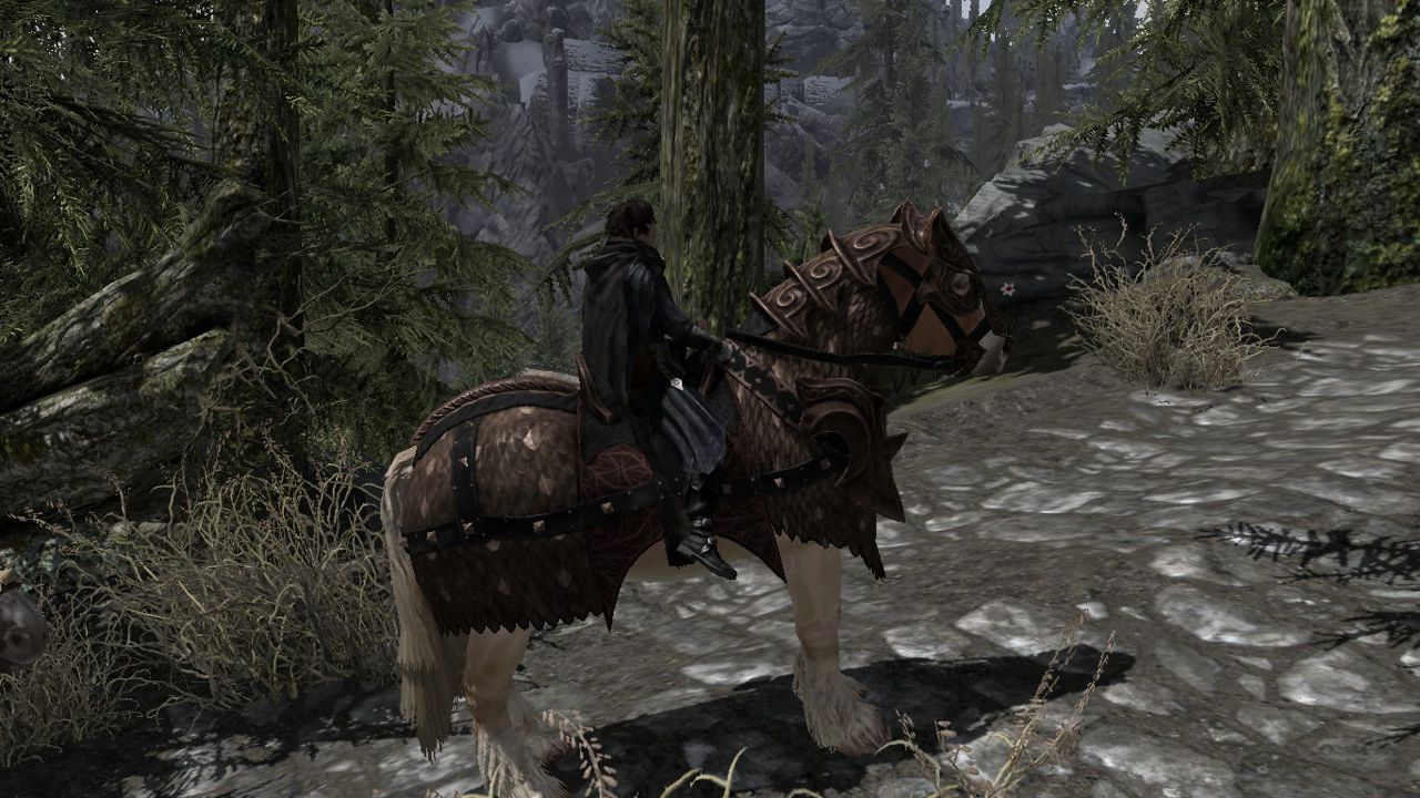 情報 漢化 獨特坐騎aeonbarr 上古卷軸系列 The Elder Scrolls 哈啦板 巴哈姆特