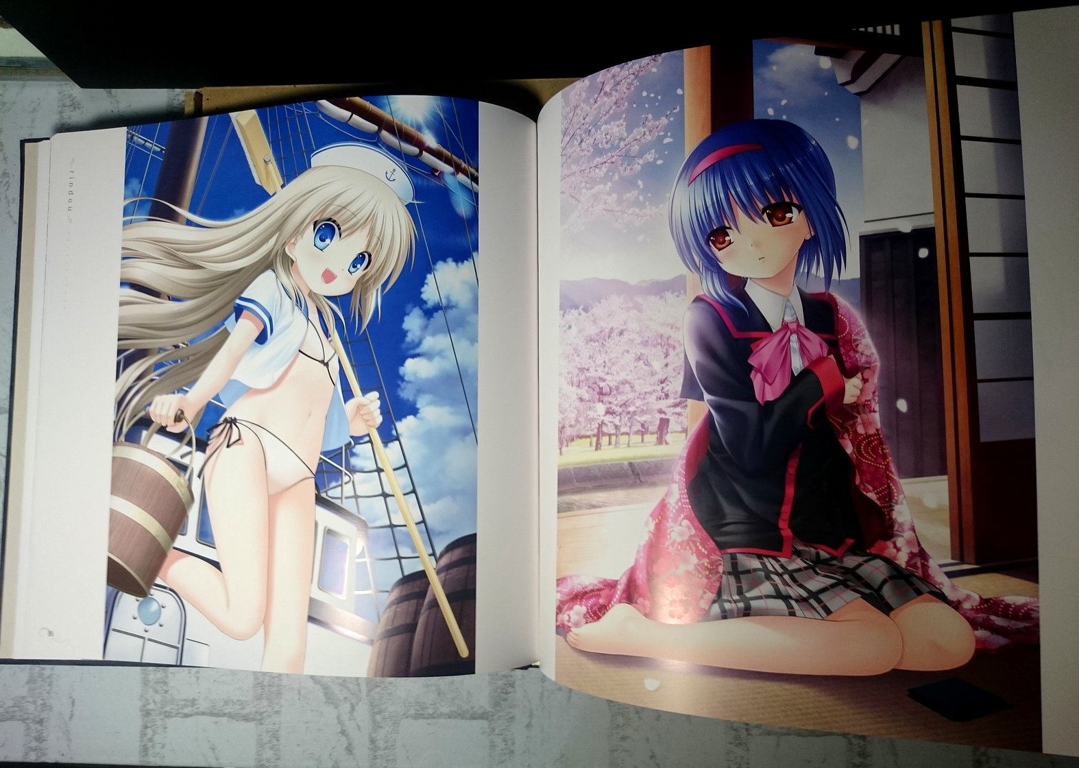 竜胆～rindou～Na-Ga Art Works Rindou ~rindou~ Na-Ga Art Works Limited Deluxe Edition Artbook
