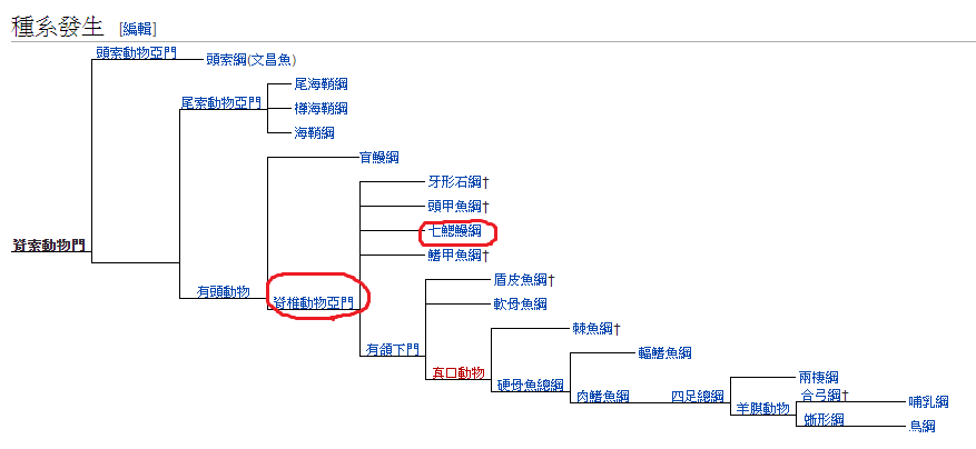 Re 討論 為甚麼會有器官排斥呢 世界之不可思議哈啦板 巴哈姆特