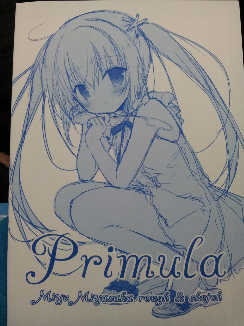 jardin miniature―宮坂みゆART WORKS― - 巴哈姆特