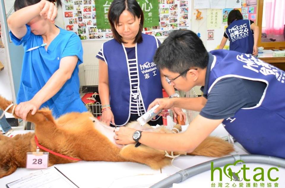 台灣之心愛護動物協會 HOTAC - dogs922的創作 - 巴哈姆特