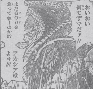 情報 378情報 美食獵人 Toriko 哈啦板 巴哈姆特