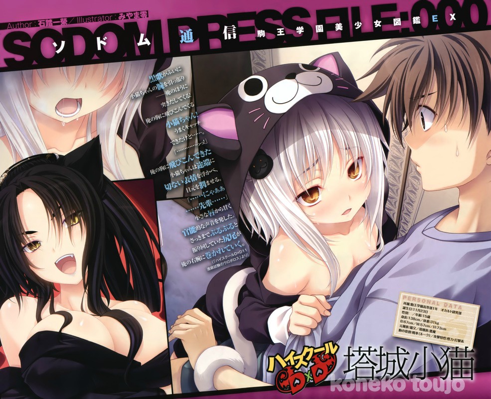 Freeing 惡魔高校dxd 塔城小貓兔女郎開箱 Tukasa722的創作 巴哈姆特
