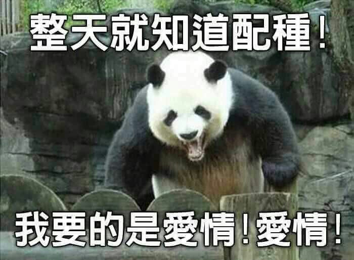 &atilde;&aring;&yen;&frac12;&ccedil;&not;&atilde;&ccedil;&aring;&ccedil;&aelig;&aring;&deg;&ccedil;&micro;&aelig;