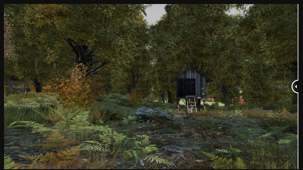 【問題】Status Report - 21 February 2017 @DayZ 哈啦板 - 巴哈姆特