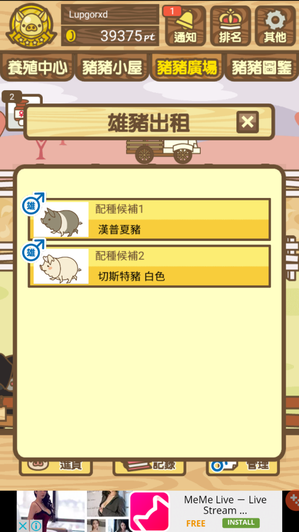 問題 特別的雜種豬 米色 配種 養豬場哈啦板 巴哈姆特