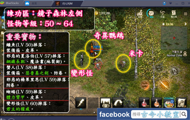 攻略 天堂m 打寶練功特輯 11 鏡子森林左側 Lv55以上 天堂mobile 哈啦板 巴哈姆特