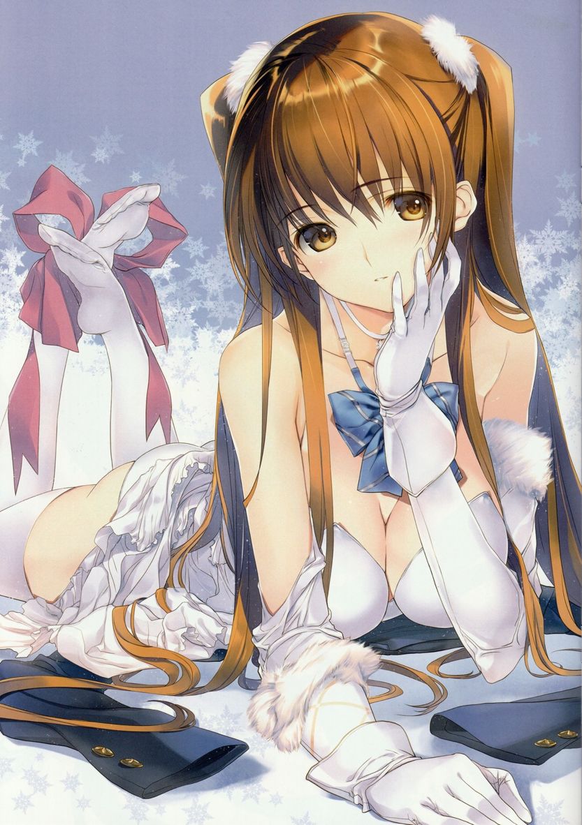 C93 WHITE ALBUM2 B2タペストリー Heroine