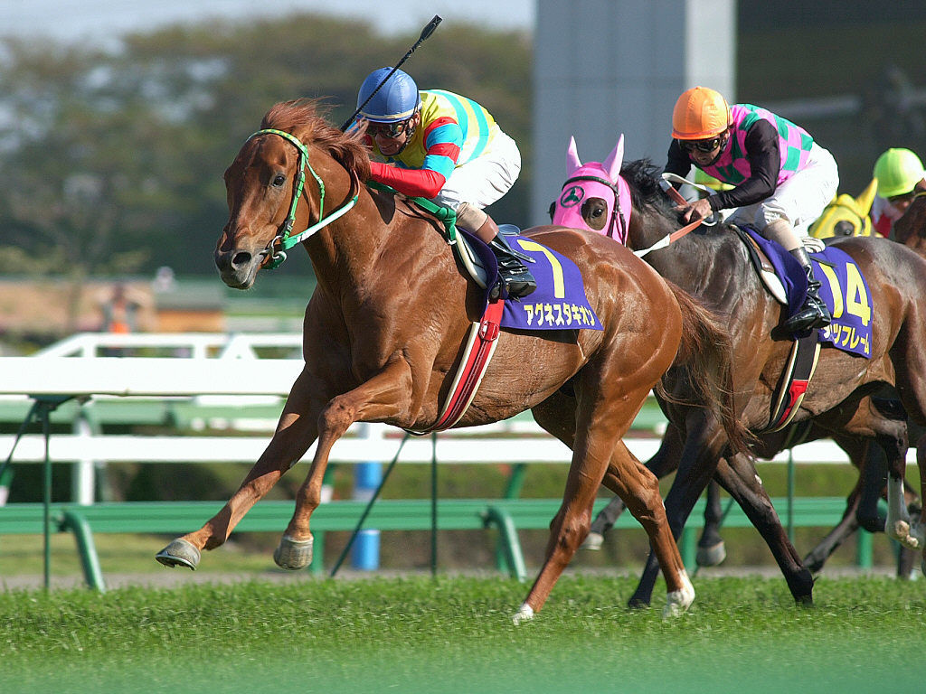 賽馬娘pretty Derby ウマ娘no 31 No 59人物 照片 網路收集統合 Sd的創作 巴哈姆特