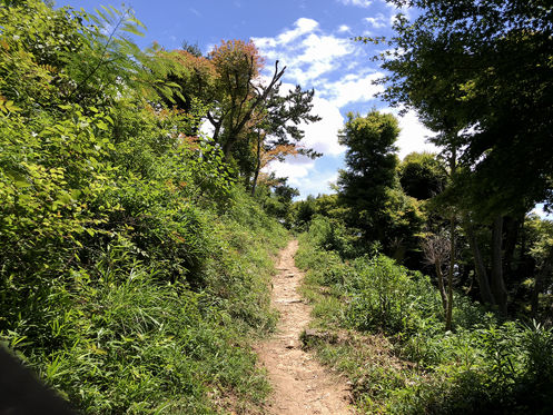 神戶かみこす第一屆 摩耶山登山日記 圖多 G的創作 巴哈姆特