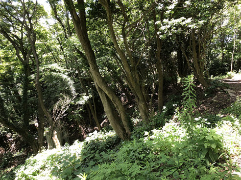 神戶かみこす第一屆 摩耶山登山日記 圖多 G的創作 巴哈姆特