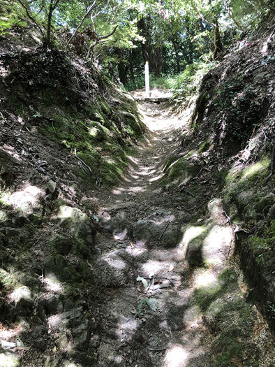 神戶かみこす第一屆 摩耶山登山日記 圖多 G的創作 巴哈姆特