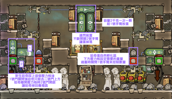 攻略 缺氧教學 宇宙版牧場自動化哈奇生肉塔 Oxygen Not Included 哈啦板 巴哈姆特