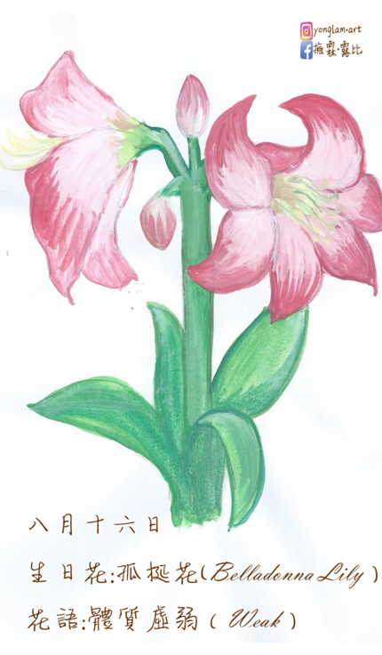 生日花 致8月16日的你 Justarabbit的創作 巴哈姆特