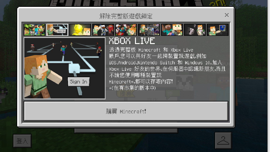 Minecraft Java版下載 Teamviewer 密碼破解