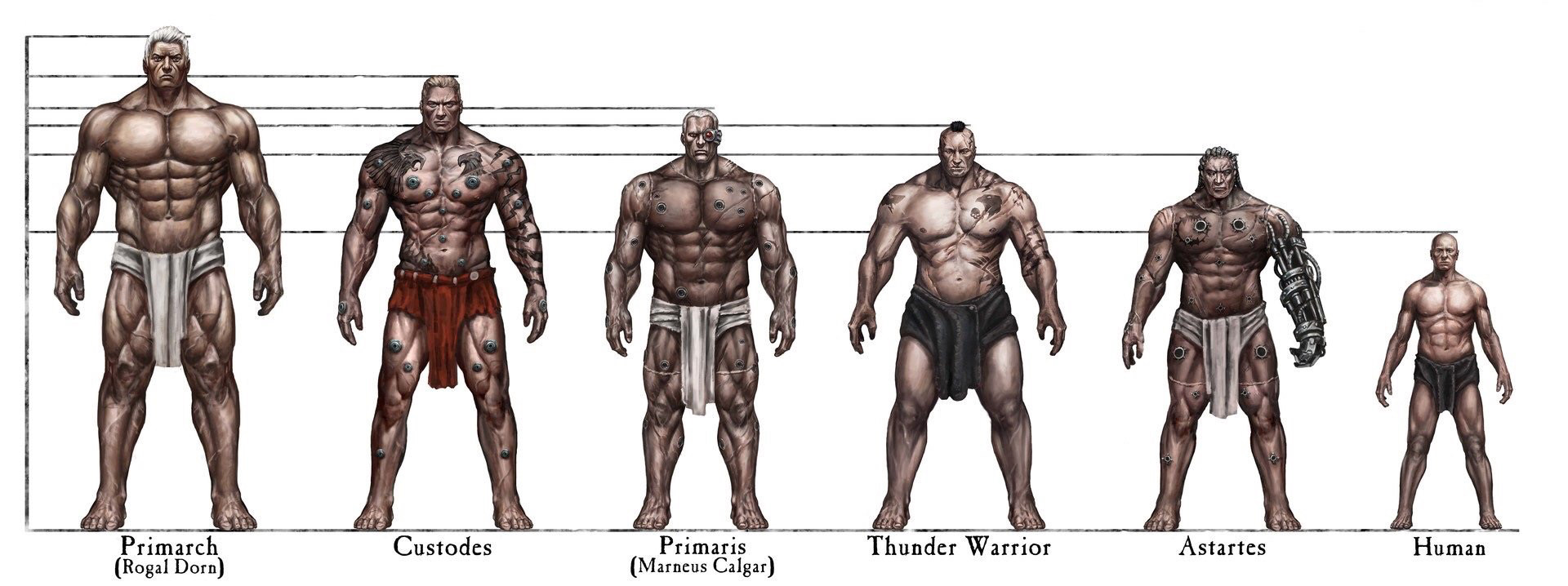 【情報】身高對比圖 戰鎚：40K 系列（Warhammer40000） 哈啦板 巴哈姆特