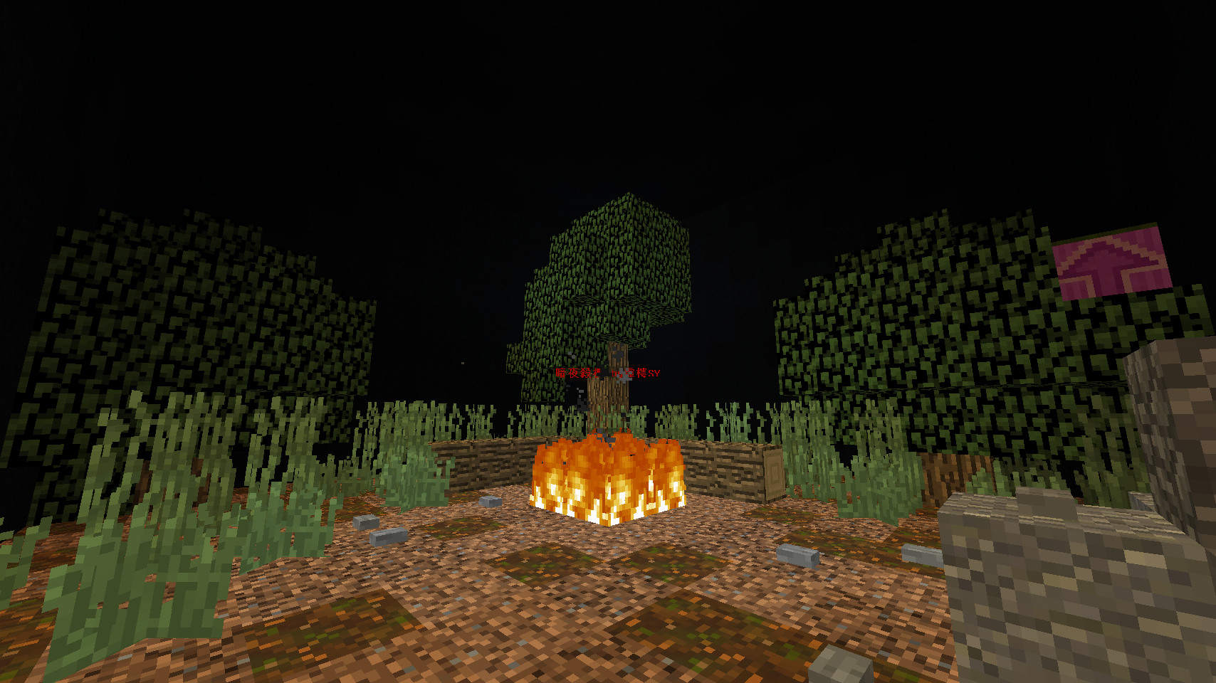 情報 1 13 2 多人地圖 暗夜殺機 測試版 Minecraft 我的世界 當個創世神 哈啦板 巴哈姆特