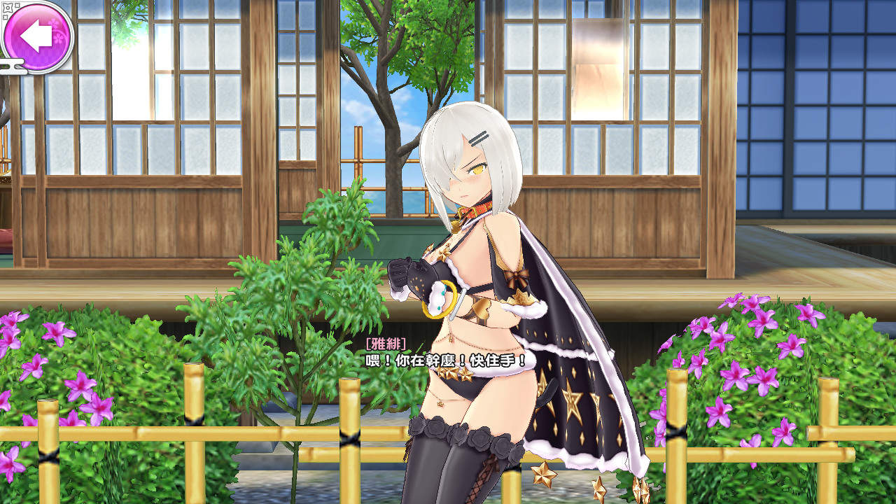 心得 雅緋醬樓 你們的雅緋醬都是我的 忍者大師閃亂神樂new Link 哈啦板 巴哈姆特