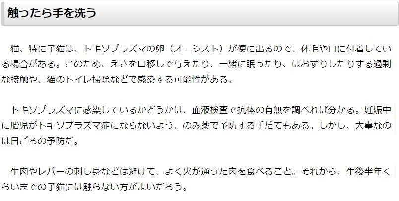 子猫との接触でうつる「トキソプラズマ症」(トキソプラズマ.弓形蟲感染 