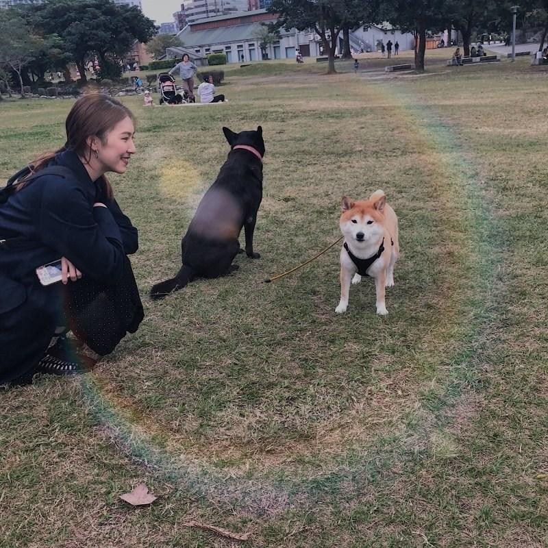 實況 我是喜歡玩魔物的新手獵人 最近開始實況 希望可以來給一些支持 代po 魔物獵人哈啦板 巴哈姆特