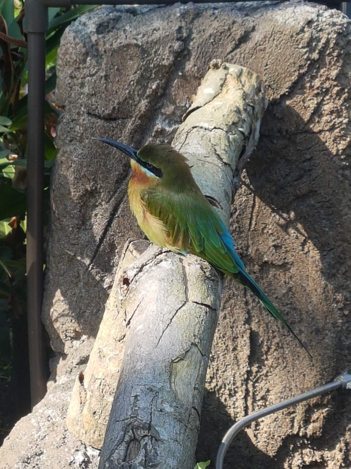 場外休憩區哈啦板 巴哈姆特