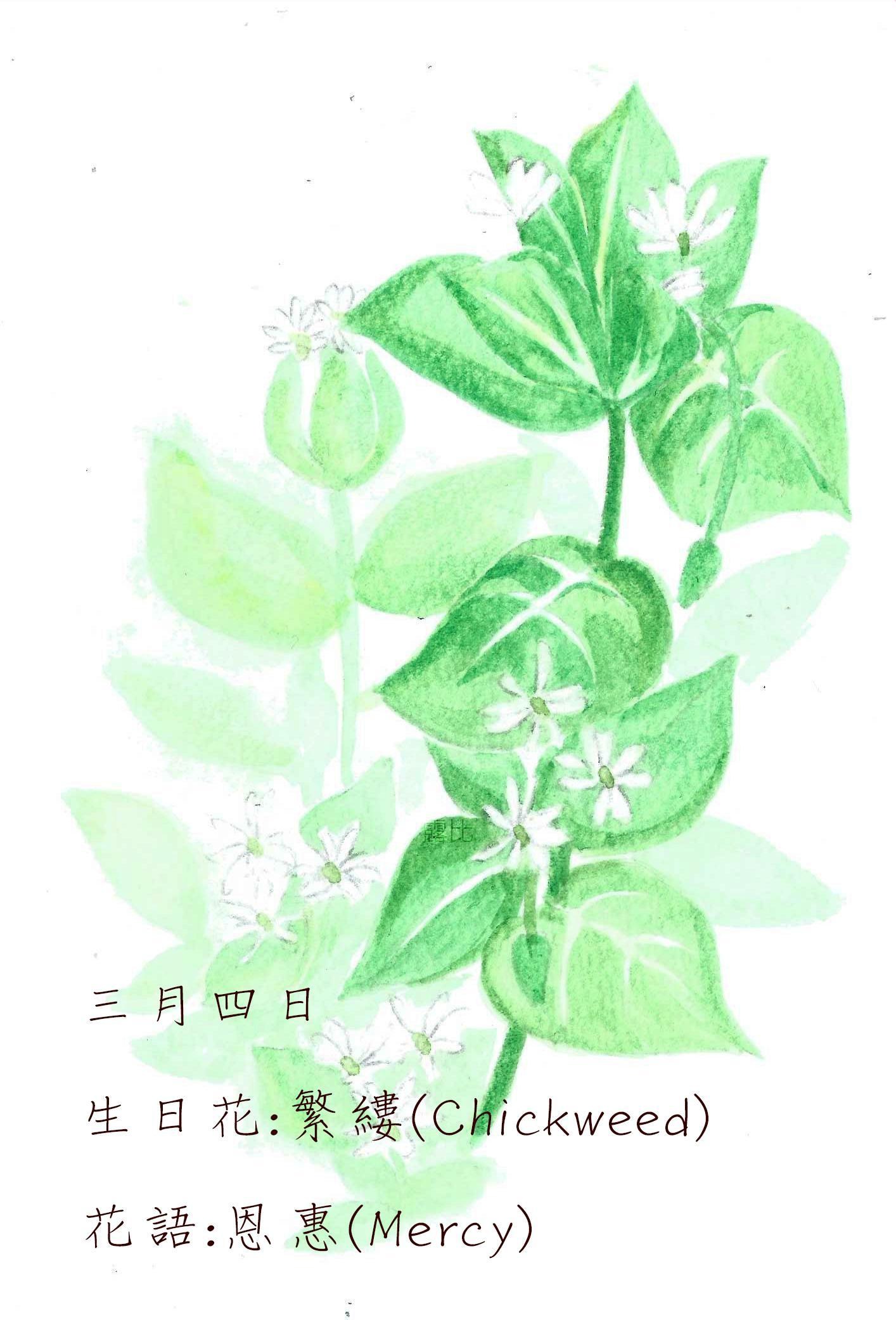 生日花 致3月4日的你 Justarabbit的創作 巴哈姆特