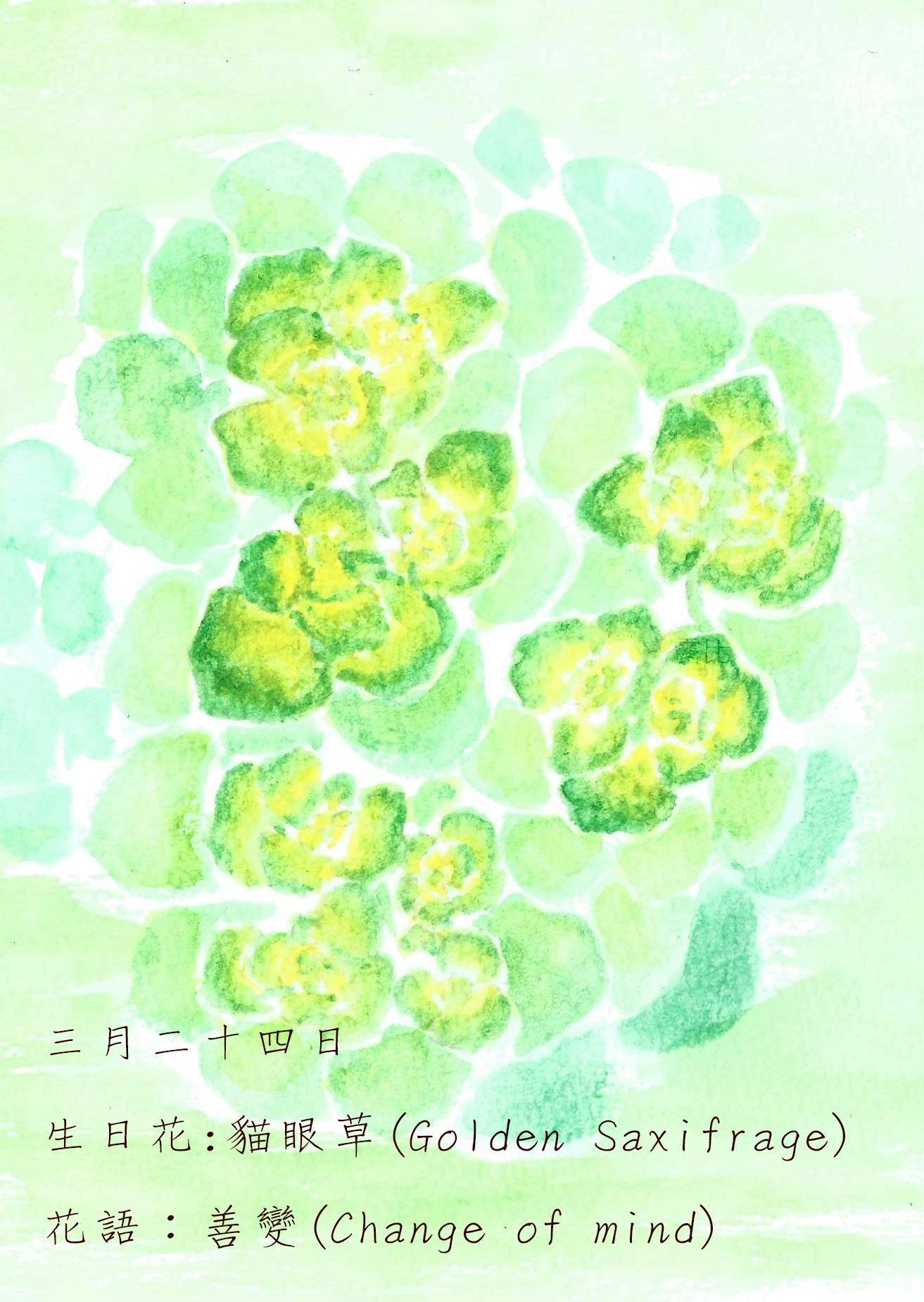 生日花 致3月24日的你 Justarabbit的創作 巴哈姆特