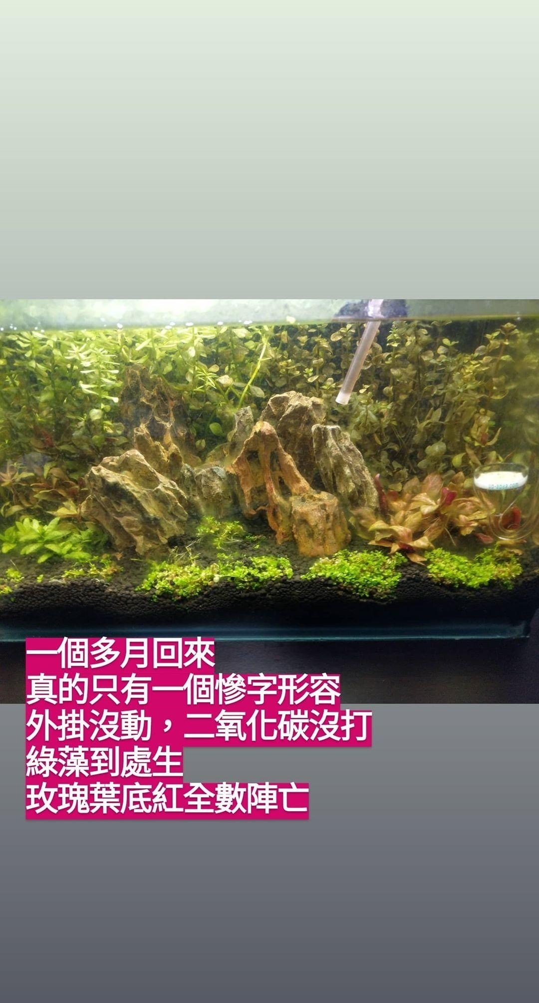 通往水草之路 4 6小更 Easonandy321的創作 巴哈姆特