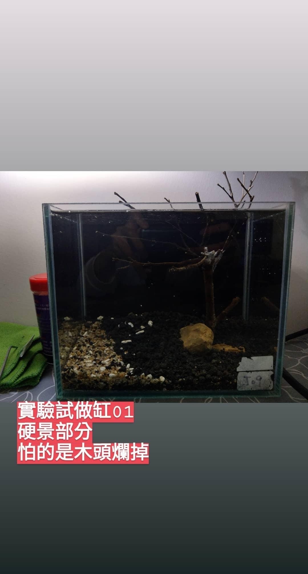 通往水草之路 4 6小更 Easonandy321的創作 巴哈姆特