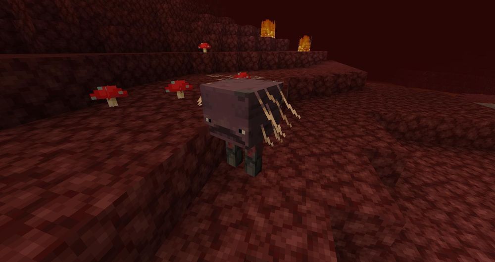 【地獄】1.16 地獄更新：更新總結 正式版已釋出!! @Minecraft 我的世界（當個創世神） 哈啦板 - 巴哈姆特