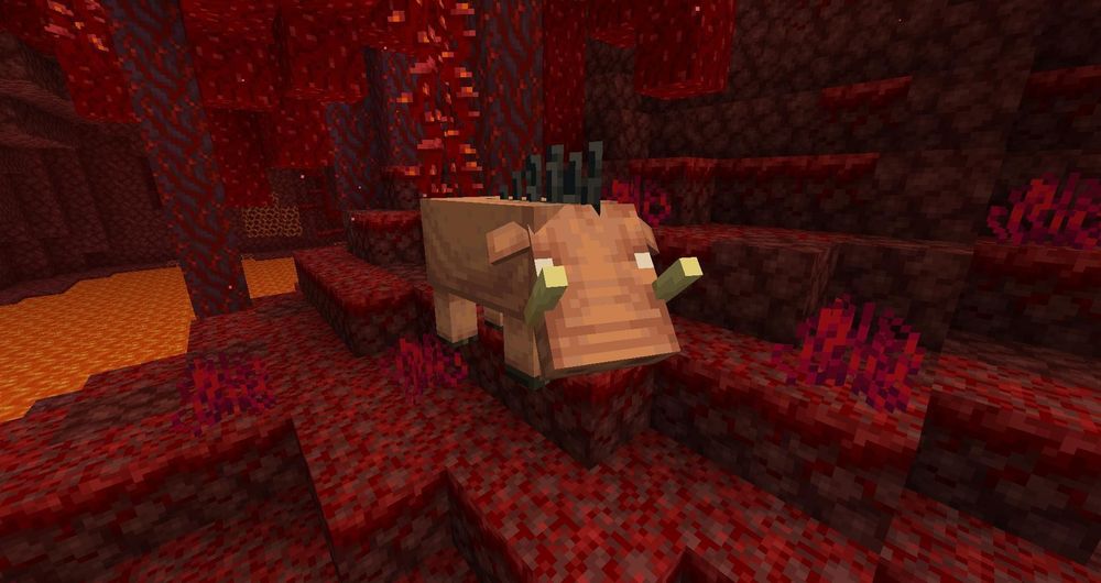 【地獄】1.16 地獄更新：更新總結 正式版已釋出!! @Minecraft 我的世界（當個創世神） 哈啦板 - 巴哈姆特