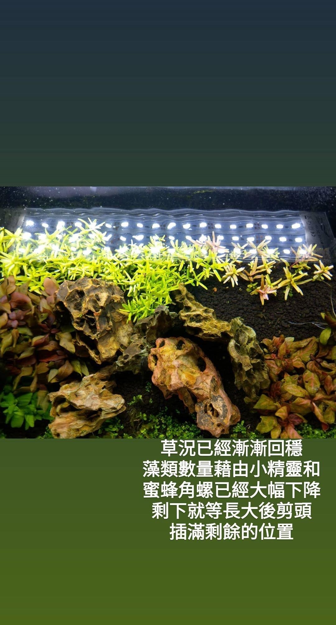 通往水草之路 4 6小更 Easonandy321的創作 巴哈姆特