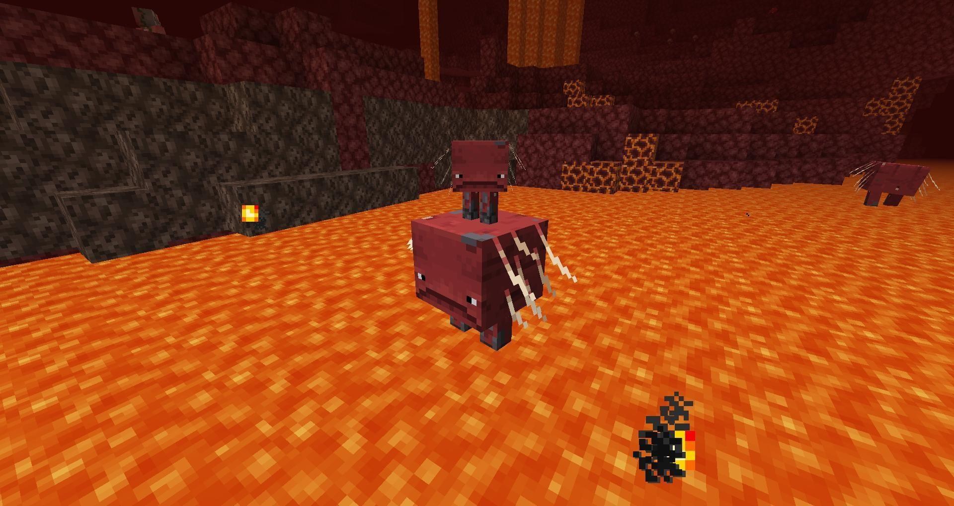 RE:【地獄】1.16 地獄更新：更新總結 正式版已釋出!! @Minecraft 我的世界（當個創世神） 哈啦板 - 巴哈姆特