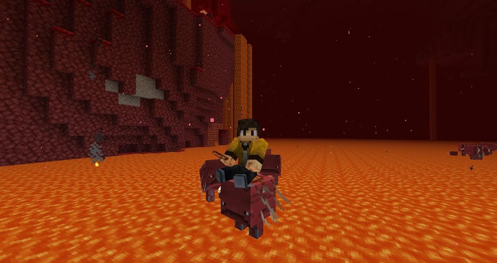 【地獄】1.16 地獄更新：更新總結 正式版已釋出!! @Minecraft 我的世界（當個創世神） 哈啦板 - 巴哈姆特