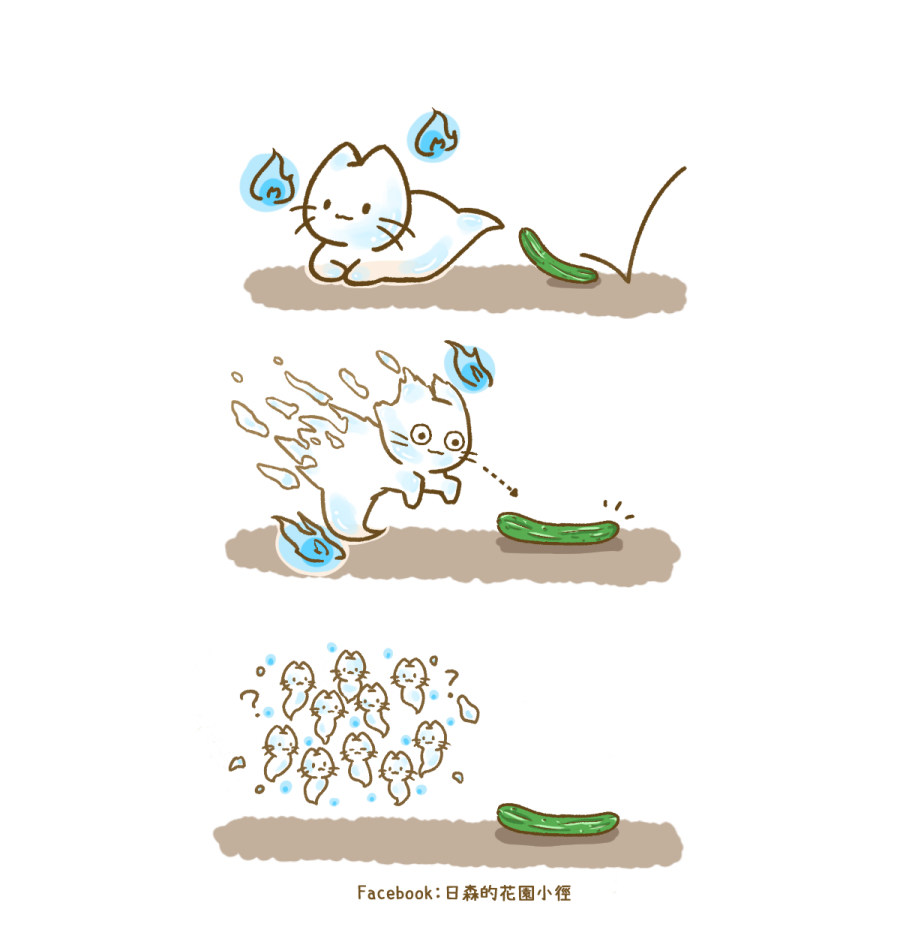 漫畫』幽靈貓-當幽靈貓貓遇到小黃瓜- saya14279的創作- 巴哈姆特