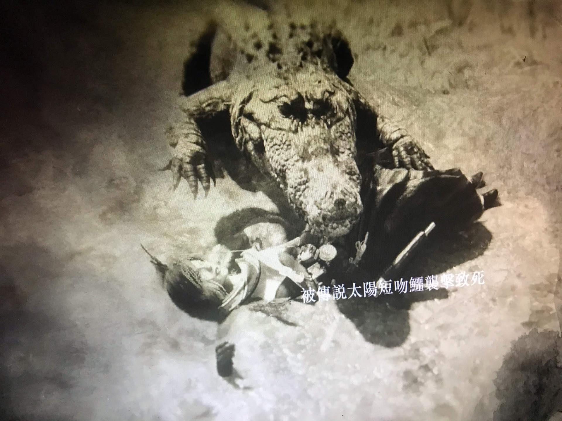 RE:【情報】【亡徒證已更新】【持續補充圖文】「博物學家」已推出追蹤傳說動物、全新武器等詳細 @碧血狂殺 哈啦板 - 巴哈姆特