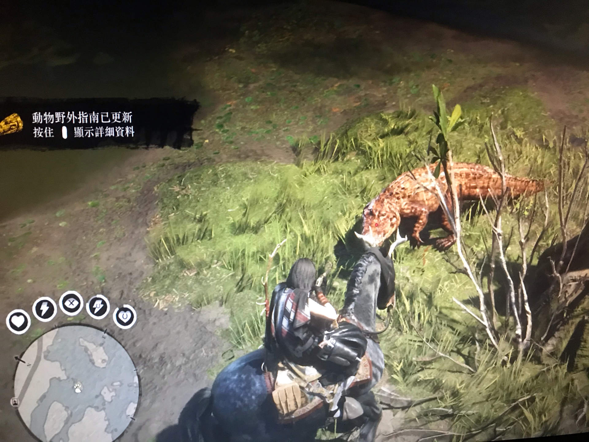 RE:【情報】【亡徒證已更新】【持續補充圖文】「博物學家」已推出追蹤傳說動物、全新武器等詳細 @碧血狂殺 哈啦板 - 巴哈姆特