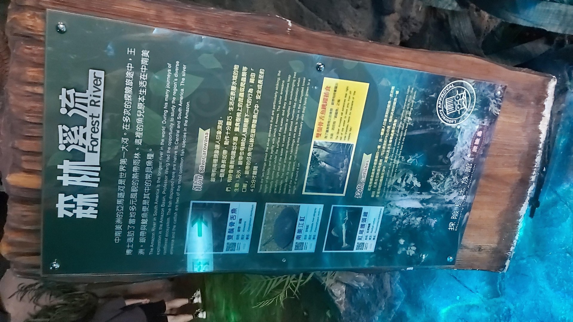 花蓮行程分享 遠雄海洋公園 Asddanny123的創作 巴哈姆特