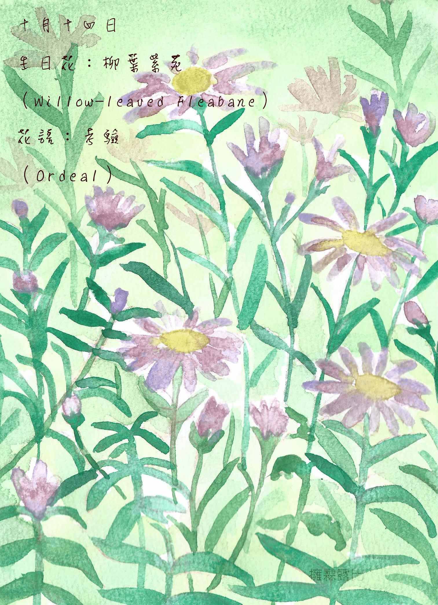 生日花 致10月14日的你 Justarabbit的創作 巴哈姆特