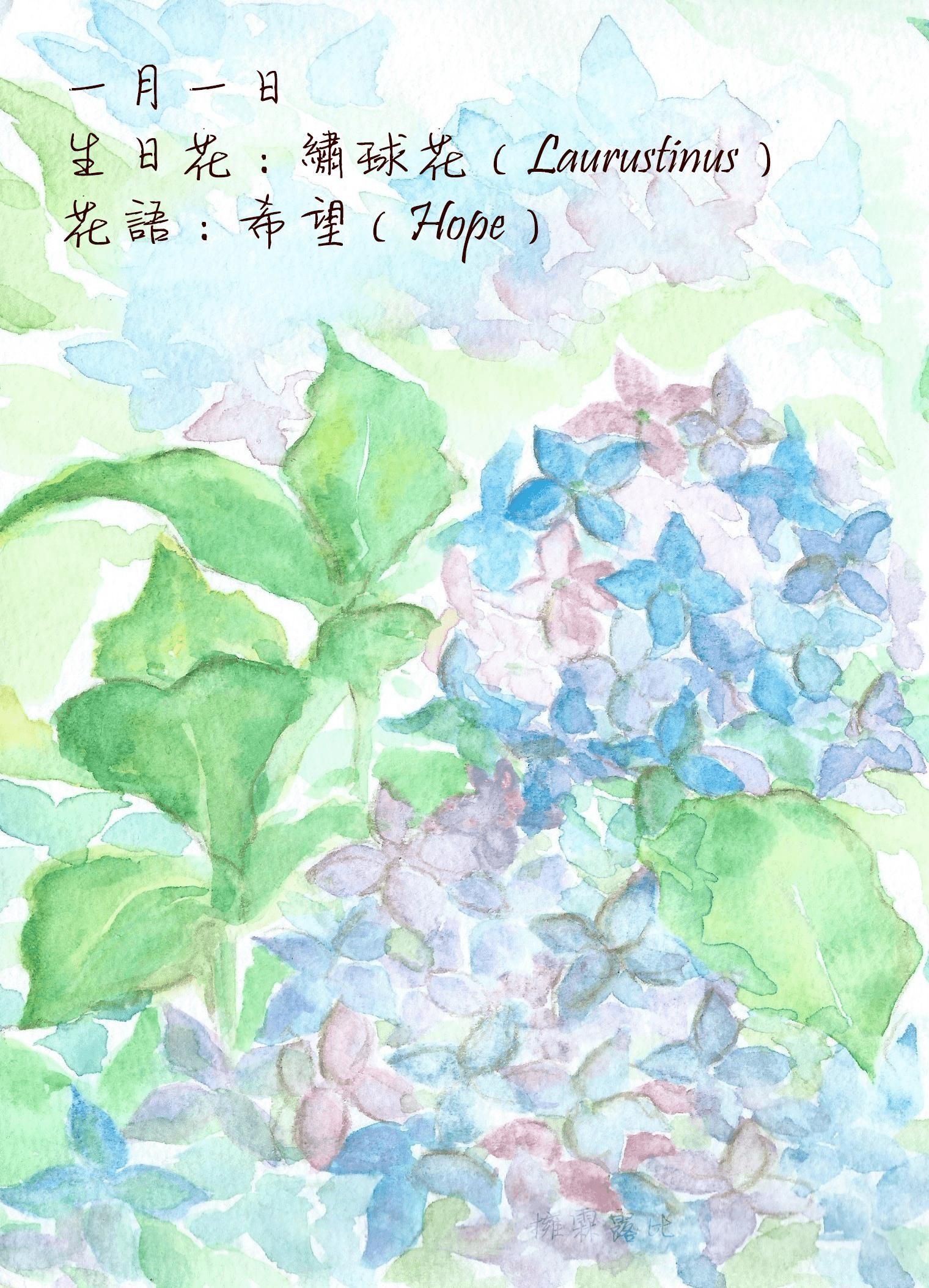 生日花 致1月1日的你 Justarabbit的創作 巴哈姆特